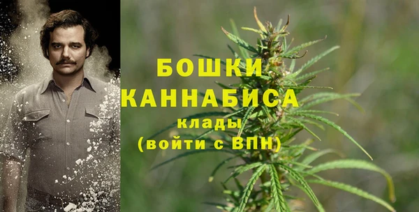 Альфа ПВП Абаза