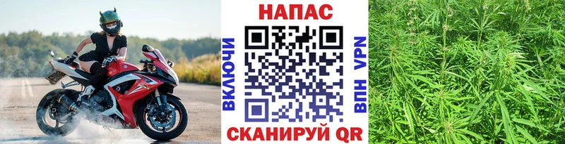 Канабис VHQ  цена наркотик  мориарти клад  Солигалич 